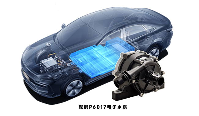 探秘電動汽車水泵：種類、應(yīng)用與原理全知曉